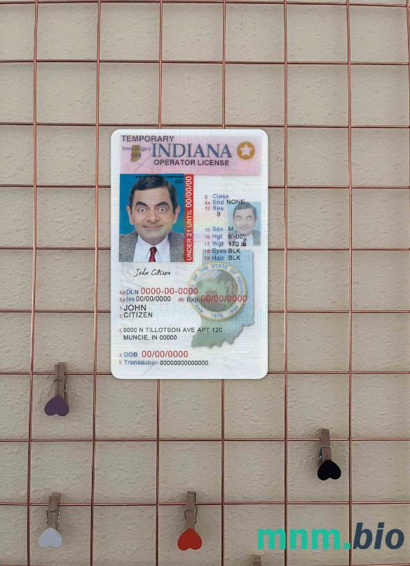 USA Indiana licencja kierowcy poniżej 21 lat photolook, w pełni edytowalny